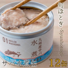 缶詰工場直送　伝統のさば缶「旬ほとぎ」水煮12缶【配送不可地域：離島】【1348858】
