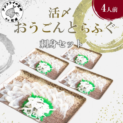 活〆おうごんとらふぐ刺身4人前セット【配送不可地域:離島】【1219478】