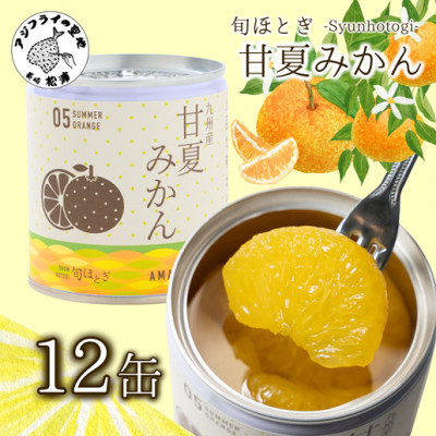 缶詰工場直送 特選果実「旬ほとぎ」甘夏みかん12缶【配送不可地域:離島】【1400317】