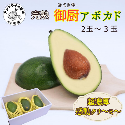 完熟国産アボカド「御厨(みくりや)アボカド」2玉~3玉【1266912】