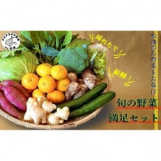 道の駅松浦海のふるさと館『旬のお野菜』の大満足セット!【配送不可地域:離島】【1487572】