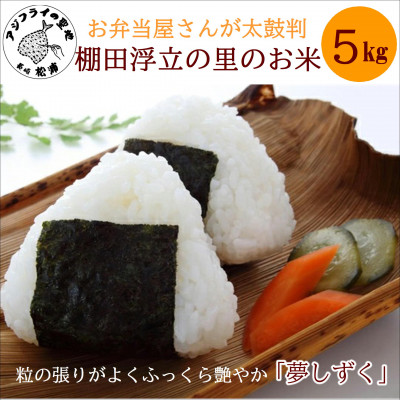 お弁当屋さんが太鼓判!棚田浮立の里のお米5kg【1539973】