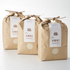 R7年産 濃厚な甘み! 岩船産コシヒカリ 精米6kg(2kg×3袋)[農家民宿おくやま]【1584913】