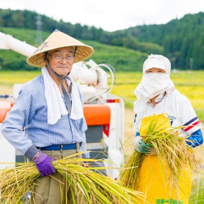 【毎月定期便】関川村産こしひかり5kg ふっくら美味しさ 岩船米 [横山農産]全6回【4073325】