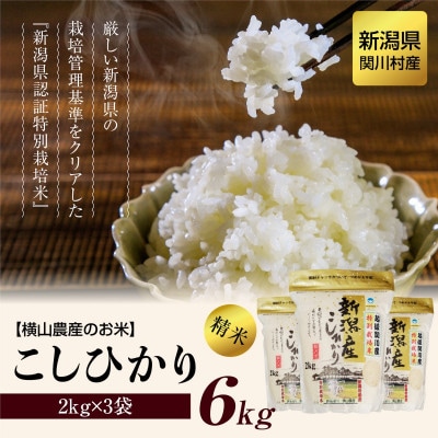 【毎月定期便】関川村産こしひかり6kg(2kg×3袋)ふっくら美味しさ 岩船米 [横山農産]全12回【4073979】