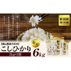 R7年産 関川村産こしひかり 精米6kg(2kg×3袋) ふっくら美味しさ 岩船米 [横山農産]【1347088】