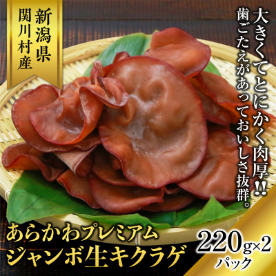 関川村産あらかわプレミアムジャンボ生キクラゲ220g×2パック【配送不可地域:離島】【1442523】
