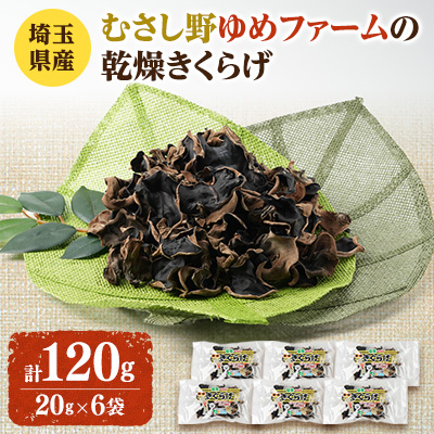 埼玉県産 むさし野ゆめファームの乾燥きくらげ 20g×6袋【1368319】