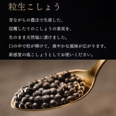 【世界初・元祖】粒生こしょう 30g×3個【1391432】
