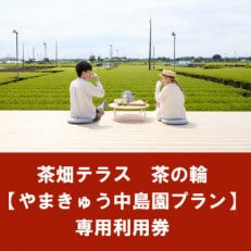 茶畑テラス茶の輪利用券【やまきゅう中島園プラン4名分】【1502962】
