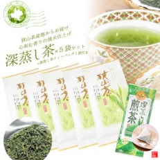 深蒸し茶100g×5袋+TB1袋 狭山茶産地からお届け 心和む香りの強火仕上げ【1517900】