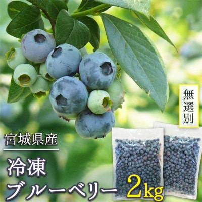 訳あり 無選別 冷凍ブルーベリー 2kg【配送不可地域:離島】【1646070】