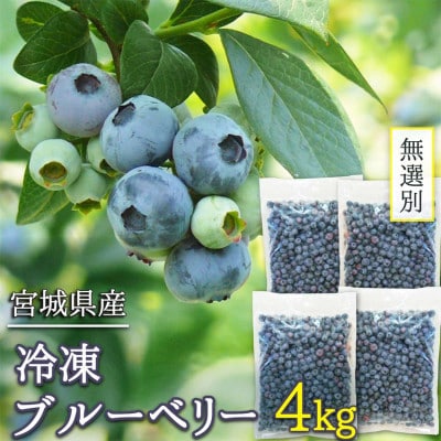訳あり 無選別 冷凍ブルーベリー 4kg【配送不可地域:離島】【1646071】