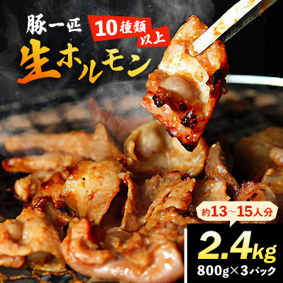 豚一匹生ホルモン2.4kg(約13～15人分/800g×3パック)【配送不可地域：離島】【1045028】