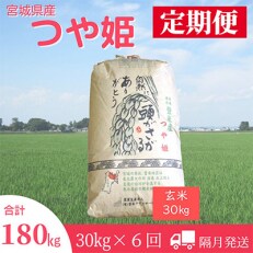 2024年3月発送開始『定期便』宮城県登米市産つや姫(玄米)30kg　全6回【5146885】