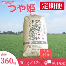 2024年1月発送開始『定期便』宮城県登米市産つや姫(玄米)30kg　全12回【5146895】