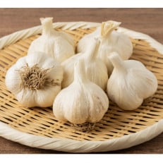 にんにく(土付き、根処理無し)【宮城県登米市産ホワイト六片】合計1.5kgの詰め合わせ【1416510】