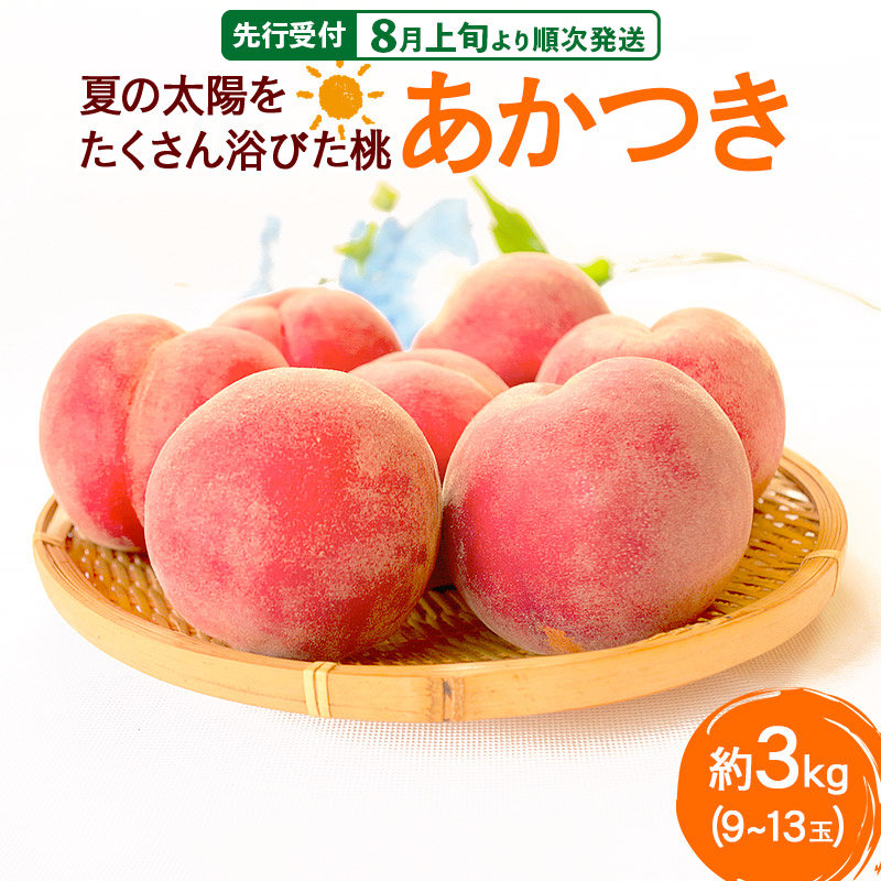 《先行受付！8月上旬より順次発送》夏の太陽をたくさん浴びた桃 あかつき 約3kg（9～13玉前後）