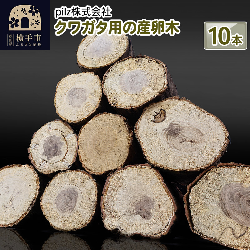 クワガタ用の産卵木10本セット