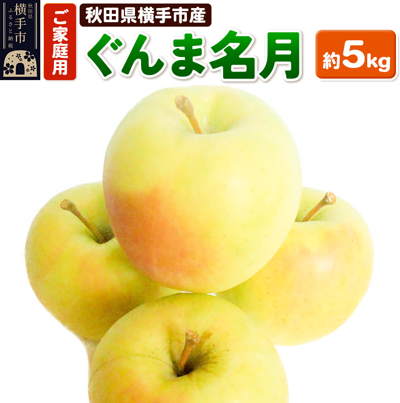 11月上旬より発送 希少品種！秋田県横手産 りんご ぐんま名月 ご家庭用 約5kg