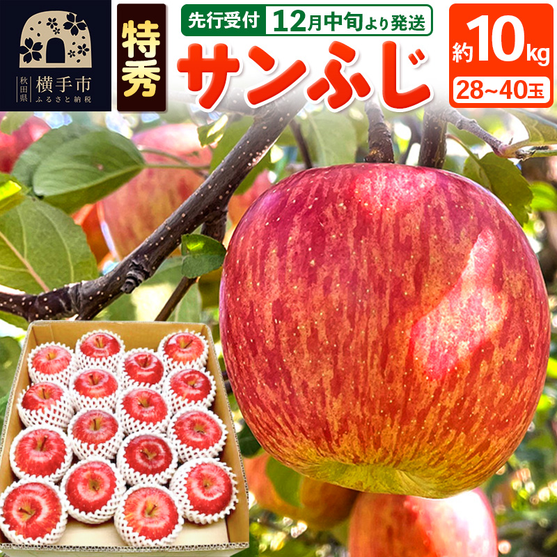 【先行受付】12月中旬より発送 サンふじ 【特秀】 約10kg（28～40玉）りんご 林檎