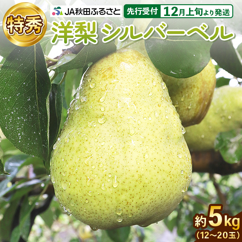洋ナシ(シルバーベル) 特秀 12玉～20玉(約5kg)