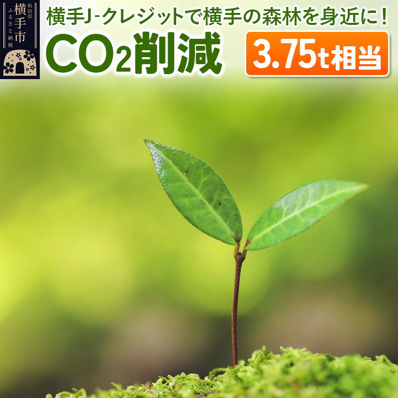 横手J‐クレジットで横手の森林を身近に! CO2削減 3.75t相当