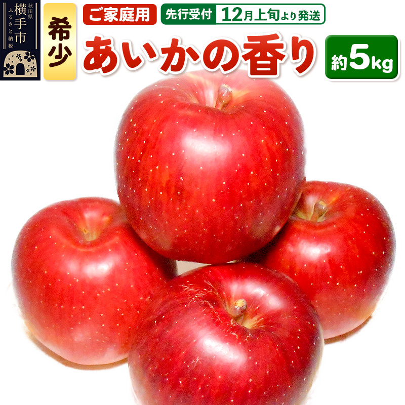 【先行受付】12月上旬より発送 希少品種!秋田県横手産 りんご あいかの香り ご家庭用  約5kg
