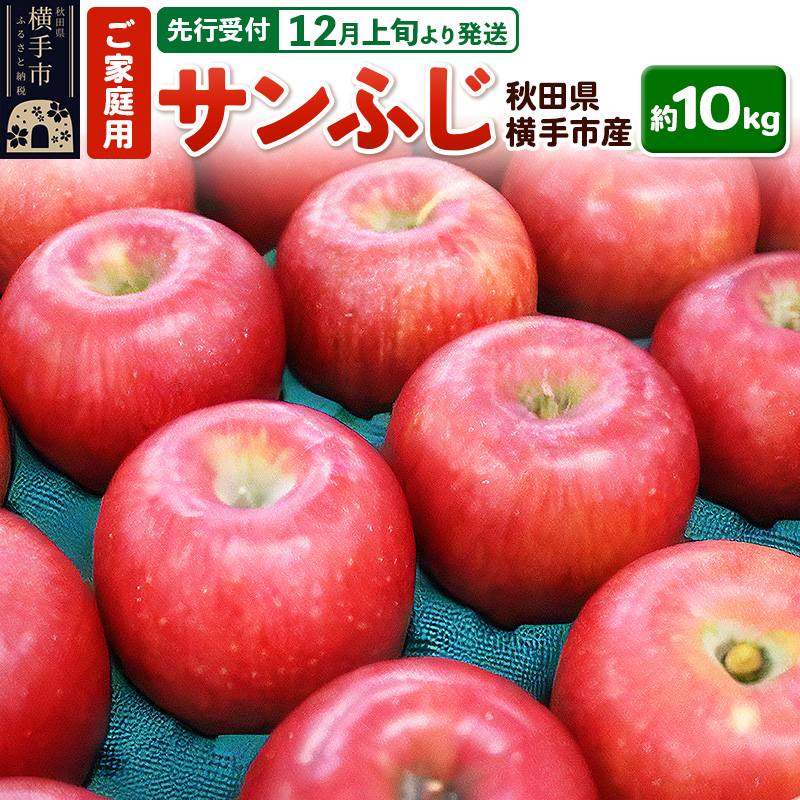 【先行受付】12月上旬より発送 秋田県横手産 りんご サンふじ ご家庭用 約10kg