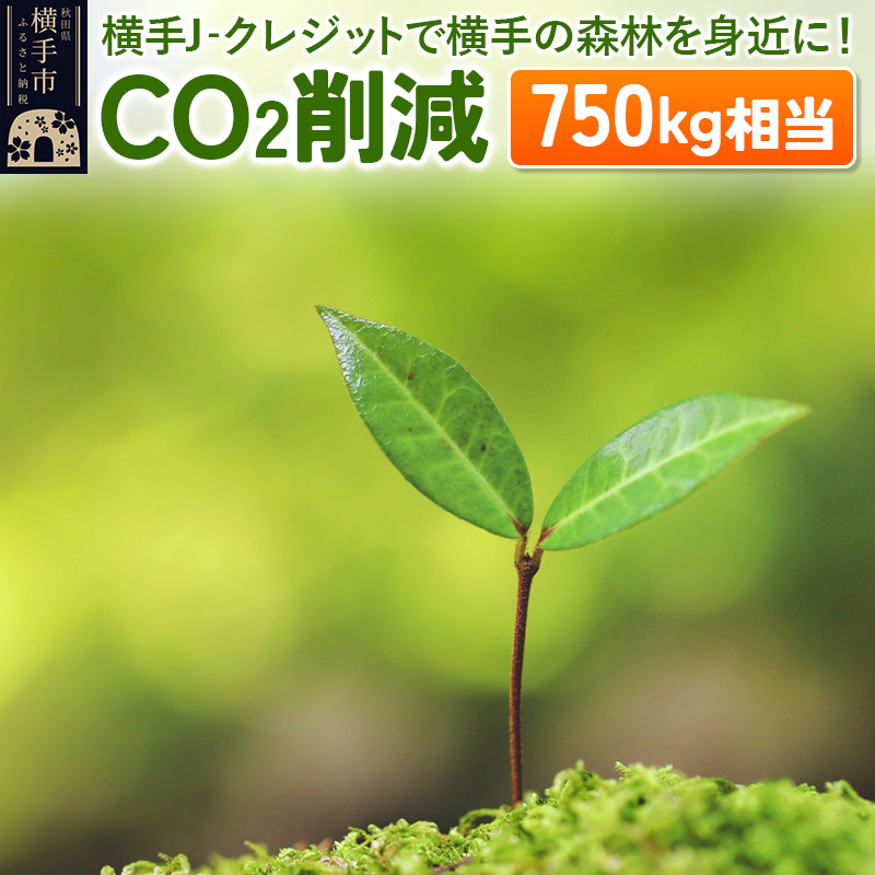 横手J‐クレジットで横手の森林を身近に! CO2削減 750kg相当