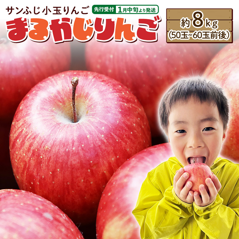 【先行受付】1月中旬より発送 【ご家庭用】サンふじ小玉りんご「まるかじりんご」約8kg（50玉～60玉前後）