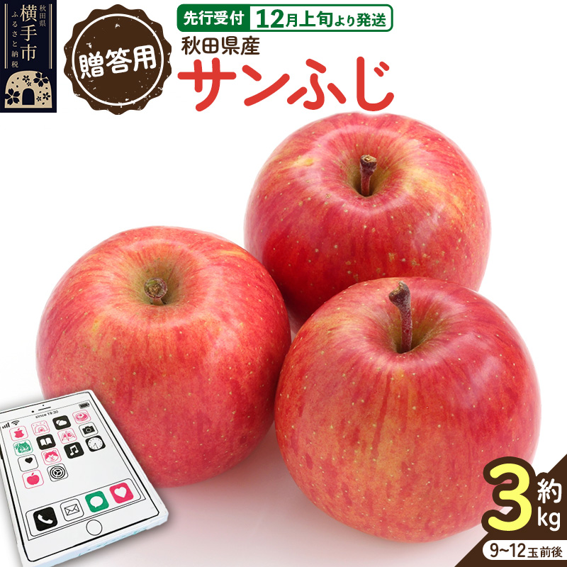 【先行受付】12月上旬より発送【贈答用】秋田県産 サンふじりんご 約3kg(9玉~12玉前後)