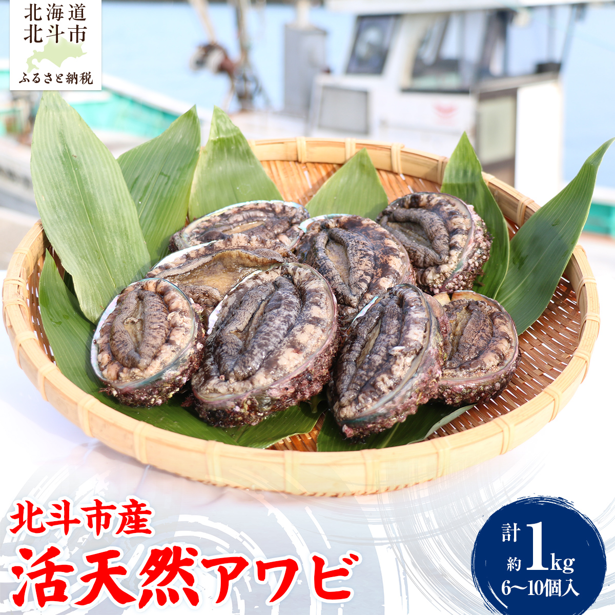 北斗市産 活天然アワビ 6~10個入 HOKAJ002