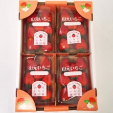 山元いちご農園 朝採りいちご 品種おまかせ 1.0kg(250g×4パック)【配送不可地域：離島・沖縄】【1582312】