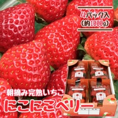 山元いちご農園 朝採り完熟いちご にこにこベリー 1.0kg(250g×4パック)【配送不可地域：離島・沖縄・九州】【1475588】