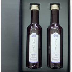 ブルーベリー原液 300ml×2本詰[配送不可地域:離島]