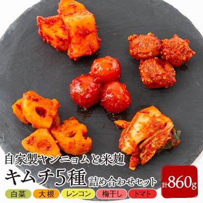 キムチ5種詰め合わせセット【配送不可地域:離島・北海道・沖縄・東北・九州】【1634981】