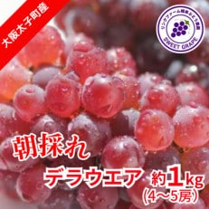 2023年7月下旬より順次発送! 生産者朝採り直送 デラウエア 約1kg【配送不可地域:離島】【1400956】