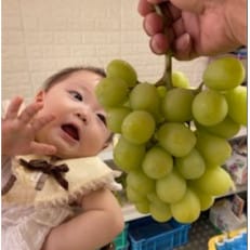 【約2kg】大阪府太子町産人気のシャインマスカット(4~5房)【配送不可地域:離島・北海道・沖縄】【1453065】