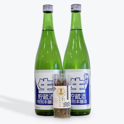 糸魚川地酒 謙信 特別本醸造生貯蔵酒 720ml×2本 お酒と相性抜群の素干しホタルイカ付き!【1616818】