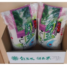 令和7年産 勾玉米こしひかり精米5kg×2袋【1225754】