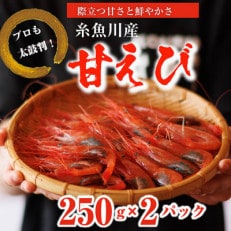 際立つ甘さと鮮やかさ『甘エビ』500g(250×2パック) 約35尾 糸魚川産【配送不可地域：離島】【1416945】