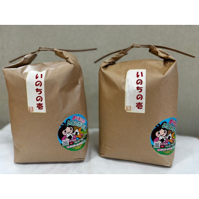 新潟県産 糸魚川産  令和7年産 いのちの壱 100% 精米 3kg×2 新米【1354375】