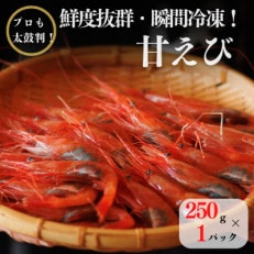際立つ甘さと鮮やかさ『甘エビ』250g 約17尾 糸魚川産【配送不可地域：離島】【1417170】