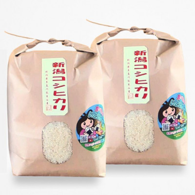 新潟県産 糸魚川産令和7年産 コシヒカリ 100% 精米 3kg×2 新米【1244649】