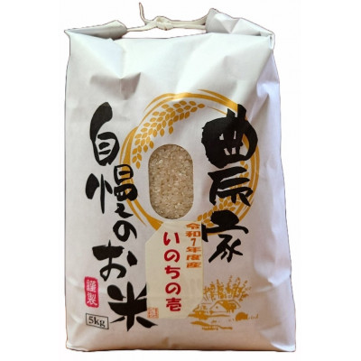 新潟県産 糸魚川産  令和7年産 いのちの壱 100% 精米 5kg 新米【1354395】