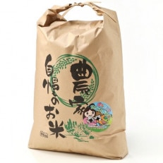 新潟県産 糸魚川産令和7年産 コシヒカリ 100% 精米 10kg 新米【1244652】