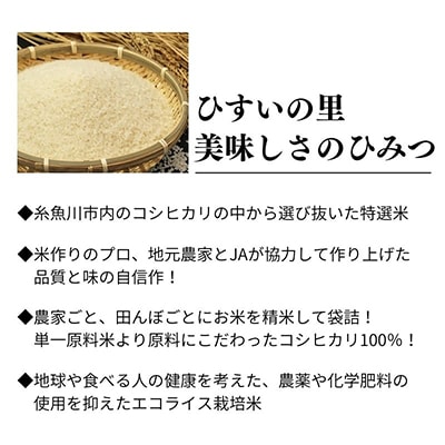 毎月定期便】新潟県糸魚川産コシヒカリ 5kg 農家自慢の特選米『ひすいの里』全9回【4002539】 | 新潟県糸魚川市 | JRE MALL ふるさと納税