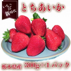 【2025年1月上旬より発送】とちあいか 約300g×4パック【配送不可地域:離島】【1380003】