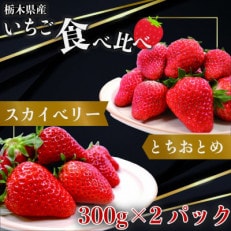 【2025年1月上旬より発送】とちおとめ×スカイベリー 約300g×各1パック【配送不可地域:離島】【1383714】